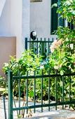 Туры в отель Villa Minerva Gardens