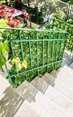 Туры в отель Villa Minerva Gardens