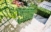 Туры в отель Villa Minerva Gardens
