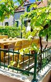 Туры в отель Villa Minerva Gardens