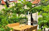 Туры в отель Villa Minerva Gardens