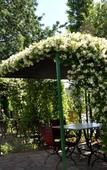 Туры в отель Buna Park Hotel