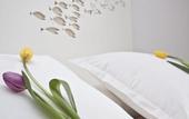 Туры в отель Hotel Pazo de Altamira