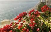 Туры в отель Hotel Irotama del Sol
