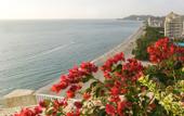Туры в отель Hotel Irotama del Sol