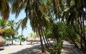 Туры в отель Hotel Irotama del Sol