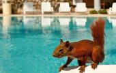 Туры в отель Hotel Irotama del Sol