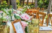 Туры в отель Hotel Irotama del Sol