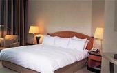 Туры в отель Hyatt Regency