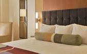 Туры в отель Hyatt Regency (Чикаго (Иллинойс))