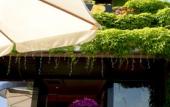 Туры в отель Best Western Hotel Corsi