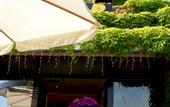 Туры в отель Best Western Hotel Corsi
