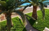 Туры в отель Royal Sun Hotel