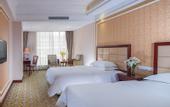 Туры в отель Vienna Hotel (Songgang international exhibition center Yanchuan Yanchuan  hotel)