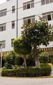 Туры в отель Hotel El Estadio
