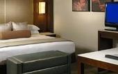 Туры в отель Hyatt Regency Atlanta