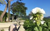Туры в отель Villa Riviera Resort