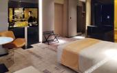 Туры в отель Grand Skylight International Hotel Haoyue (Shenzhen World & WaterLands Resort East Metro Station)