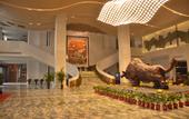 Туры в отель Aosen Hotel