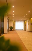 Туры в отель Greentree Eastern Hotel (Daming)