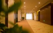 Туры в отель Greentree Eastern Hotel (Daming)