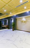 Туры в отель Greentree Eastern Hotel (Daming)