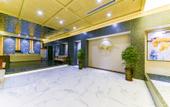 Туры в отель Greentree Eastern Hotel (Daming)