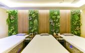 Туры в отель Greentree Eastern Hotel (Daming)