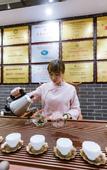 Туры в отель Greentree Eastern Hotel (Daming)