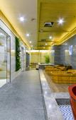 Туры в отель Greentree Eastern Hotel (Daming)