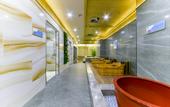 Туры в отель Greentree Eastern Hotel (Daming)