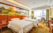 Туры в отель Vienna International Hotel (Gu'an New Airport)