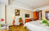 Туры в отель Vienna International Hotel (Gu'an New Airport)