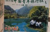Туры в отель Vienna International Hotel (Chengdu Exhibition Center Zhonghe Metro Station)