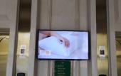 Туры в отель Vienna International Hotel
