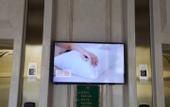 Туры в отель Vienna International Hotel