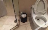 Туры в отель Sushi Luxury Hotel (Shanghai Riyueguang Dapuqiao Subway Station Branch)