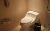 Туры в отель Sushi Luxury Hotel (Shanghai Riyueguang Dapuqiao Subway Station Branch)