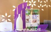 Туры в отель Lavande Hotel (Beijing ABP)