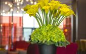 Туры в отель Hampton by Hilton Zhengzhou Zhengdong New District
