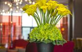 Туры в отель Hampton by Hilton Zhengzhou Zhengdong New District