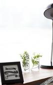 Туры в отель Mipo Oceanside Hotel