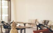 Туры в отель Hotel & Spa Villa Seren