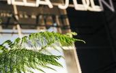 Туры в отель Hotel & Spa Villa Seren