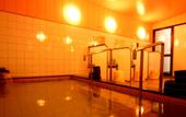 Туры в отель Ryokan Murayama