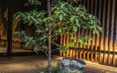 Туры в отель RESI STAY Mayu Grace Hotel