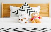 Туры в отель Shanghai Qike boutique home stay