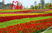 Туры в отель Shanghai Qike boutique home stay