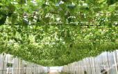 Туры в отель Shanghai Qike boutique home stay