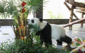 Туры в отель Shanghai Qike boutique home stay